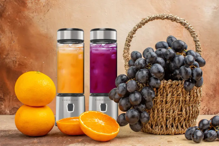 بلندر پاورولوژی مدل P6BPJBK 450ML